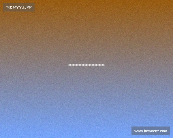 青岛暑假体育赛事盛大开幕海滨激情竞技盛宴点燃夏日活力