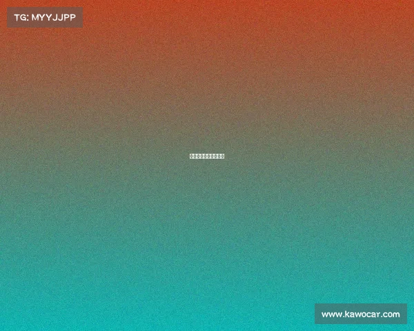 赛事志愿者是干什么的